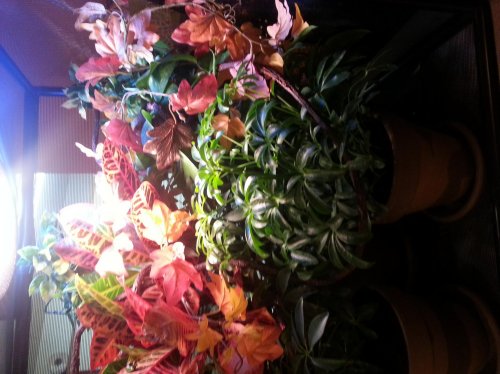 20130210_224417.jpg