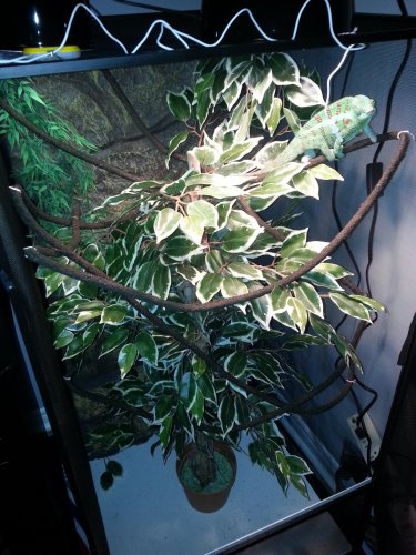 20130211_165550.jpg