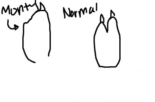fgdfgd.jpg