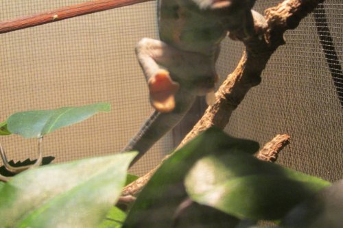 IMG_0601.jpg