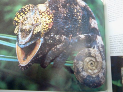 2013-02-14 13.24.52.jpg