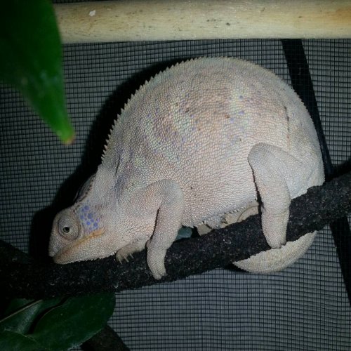 uploadfromtaptalk1360907576620.jpg