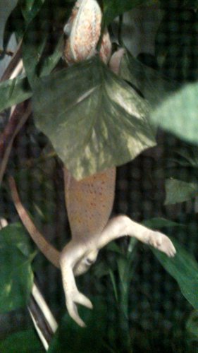 IMG_20130216_202640_491.jpg