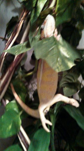 IMG_20130216_202654_273.jpg