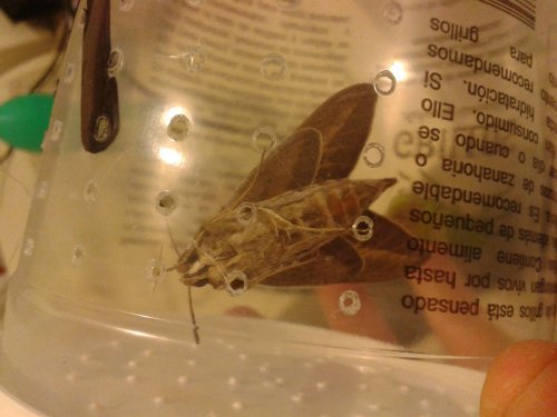 2013-02-17 01.42.37.jpg