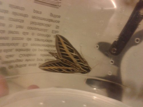 2013-02-17 01.43.22.jpg