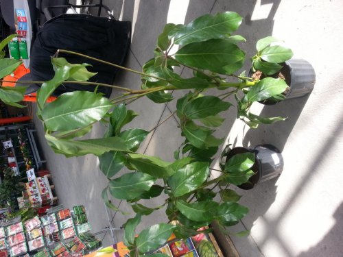 20130217_135740.jpg