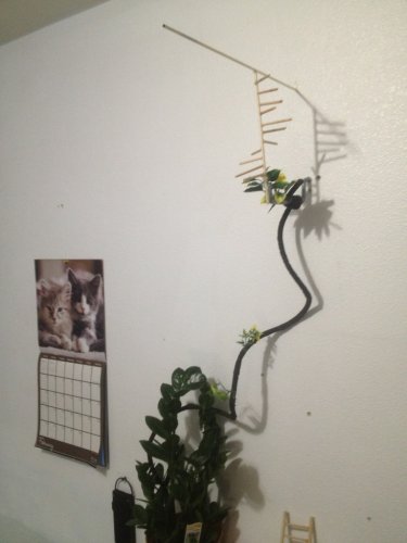 ImageUploadedByTapatalk1361279768.537263.jpg