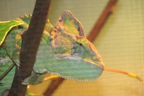 IMG_0611.jpg