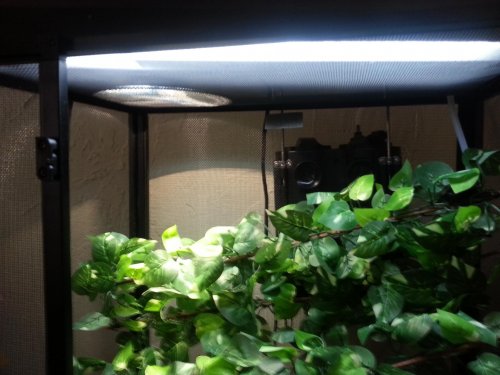 20130220_154625.jpg