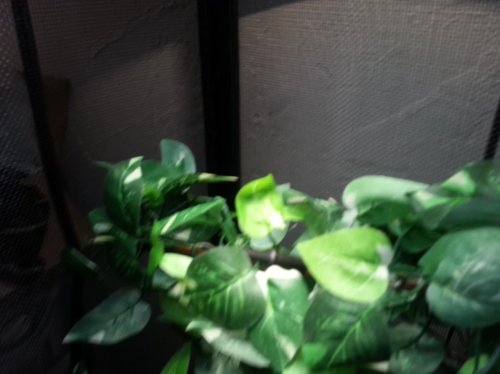 20130220_154631.jpg