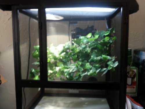 20130220_154642.jpg