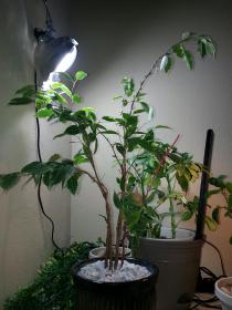 20130223_132309.jpg