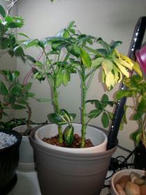 20130223_132930.jpg