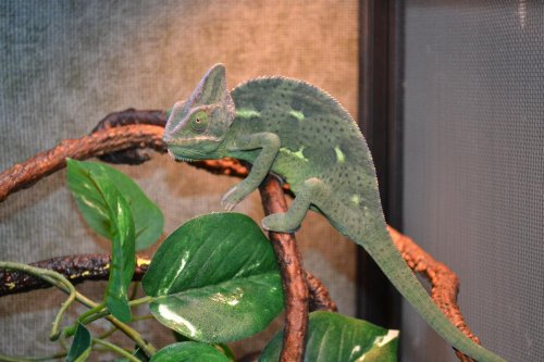 DSC_0749.jpg