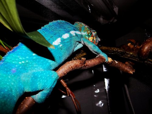 2013-02-23 20.15.09.jpg