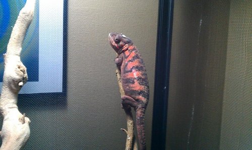 IMAG0259.jpg