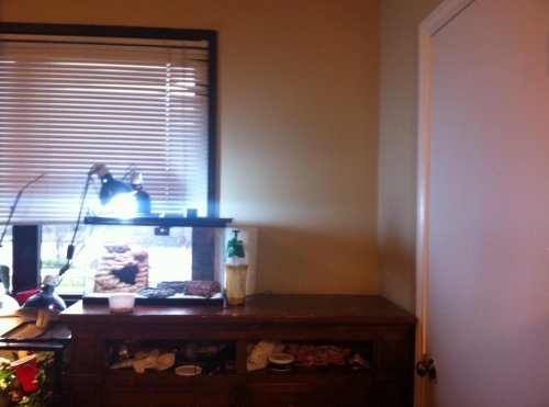 newcagearea.jpg