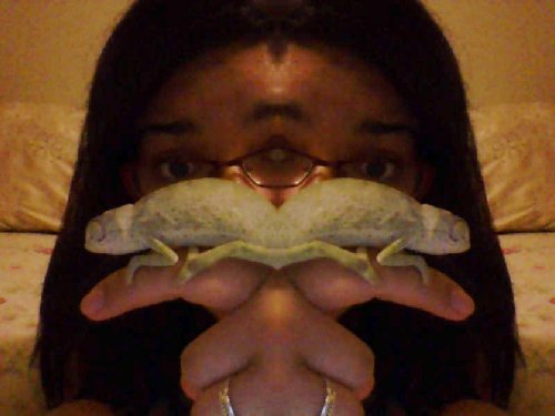 webcam-toy-photo11.jpg