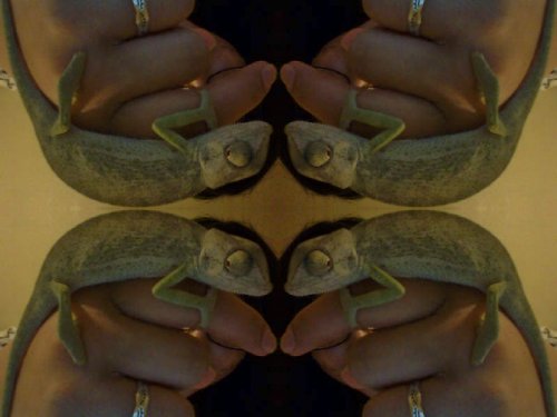 webcam-toy-photo12.jpg