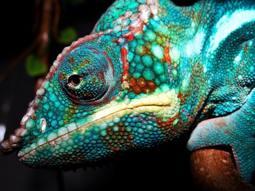 2013-02-24 22.51.14.jpg