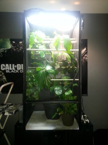 20130225_141109.jpg