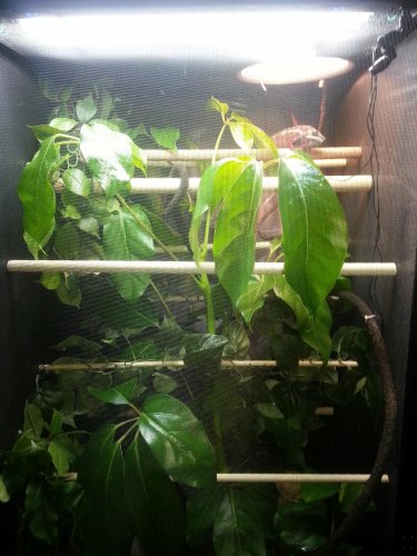 20130225_141221 (1).jpg