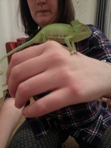 2013-02-11 18.34.56-3.jpg