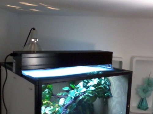 20130226_181812.jpg