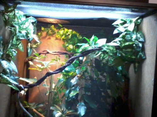 20130226_181834.jpg