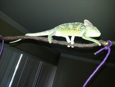 20130226_143251.jpg