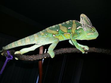20130226_143319.jpg