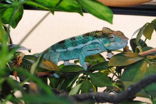 DSC_0773.jpg