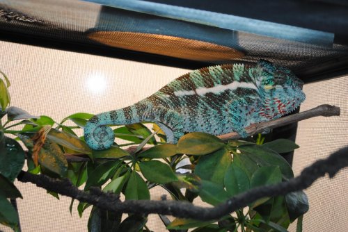 DSC_0788.jpg