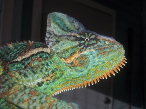 20130228_164652.jpg
