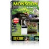 monsoon.jpg