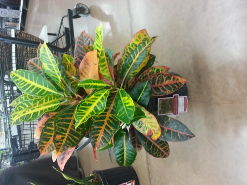 20130301_221140.jpg