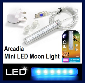 led-product1 Blue.jpg