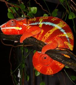 2013-02-11 22.16.25.jpg