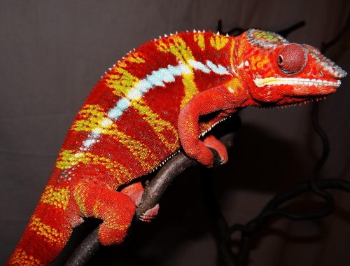 2013-02-23 20.18.05.jpg