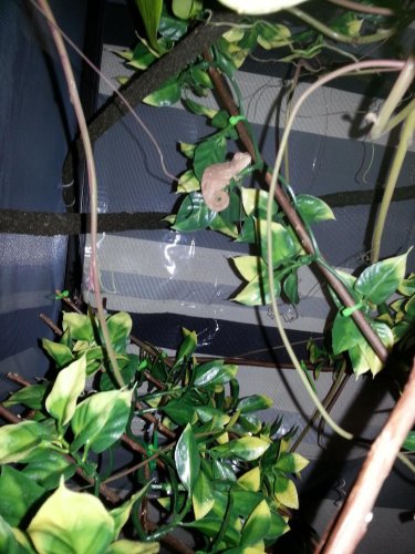 2013-03-01 18.30.39.jpg