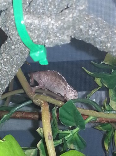 2013-03-08 07.30.48.jpg