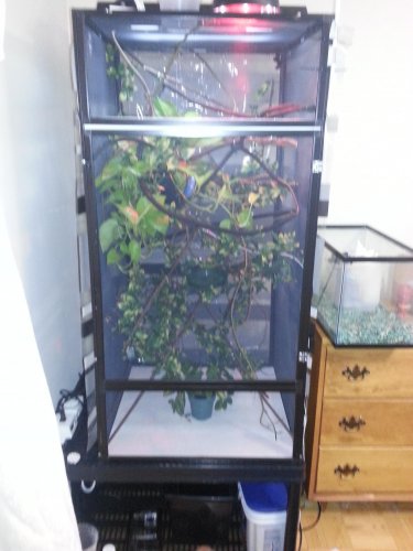 2013-03-08 07.31.26.jpg