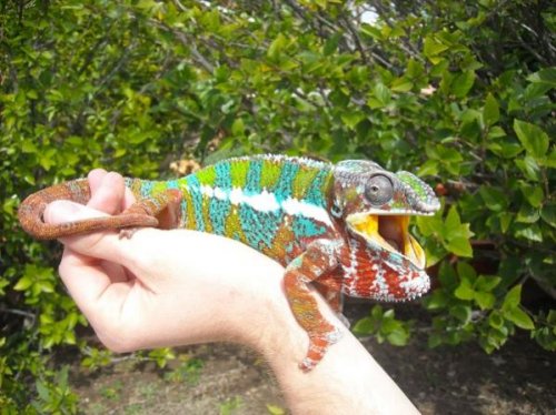 Mad at the camera resize.jpg