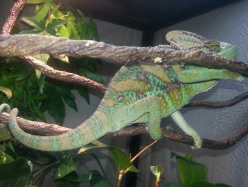 20130309_070258.jpg