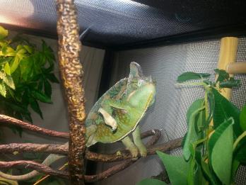 20130309_070308.jpg
