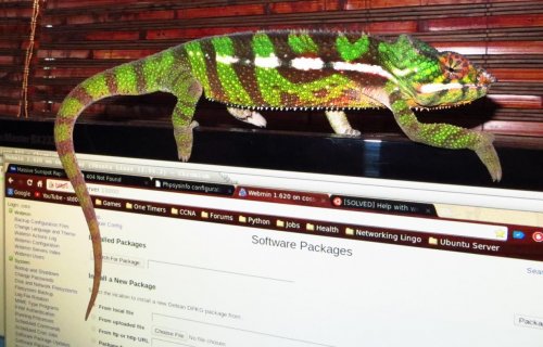 George Identify 3.jpg