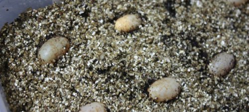 IMG_0845.jpg
