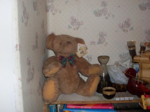 A Bear 001.jpg