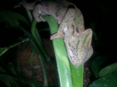 20130315_222929.jpg